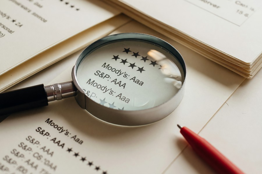 Side-by-side comparison of car insurance quotes on a laptop screen showing multiple insurer prices