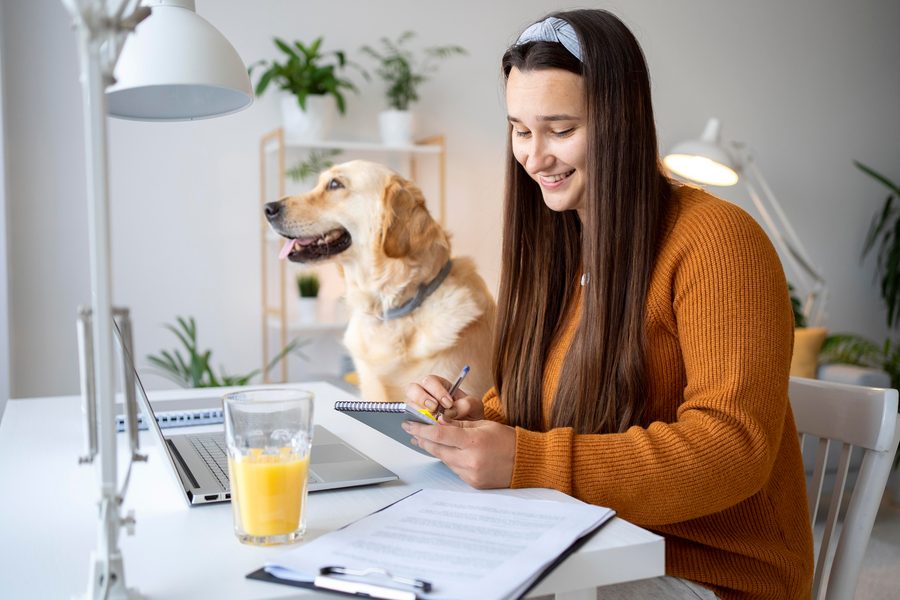 Pet owner comparing insurance quotes on laptop