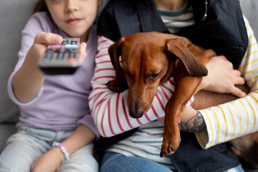 Side-by-side discount comparison of major pet insurance providers