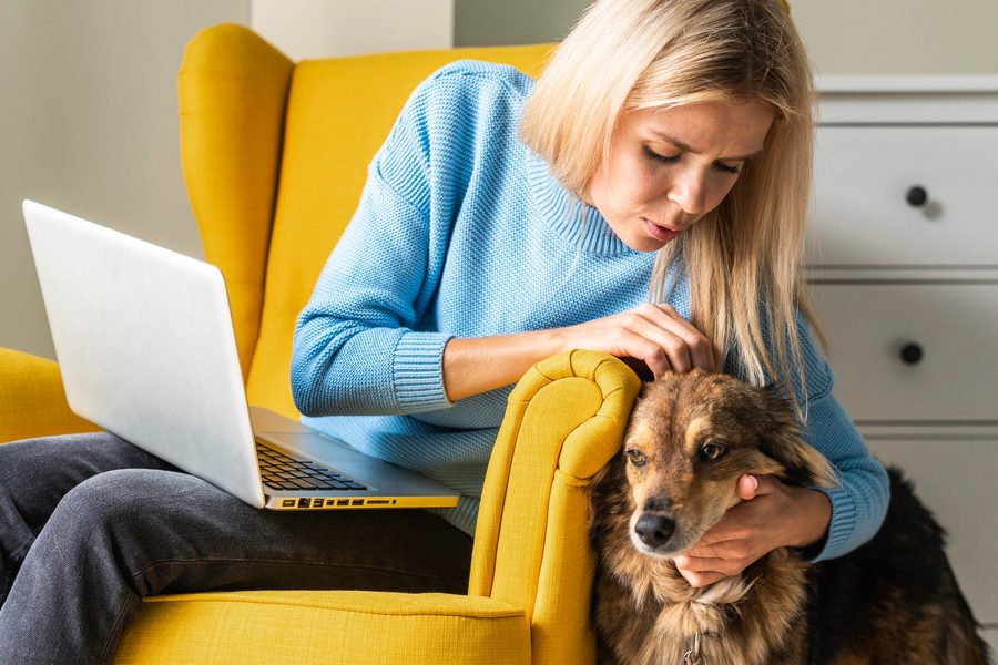 Veterinarian reviewing pet medical records for insurance coverage determination