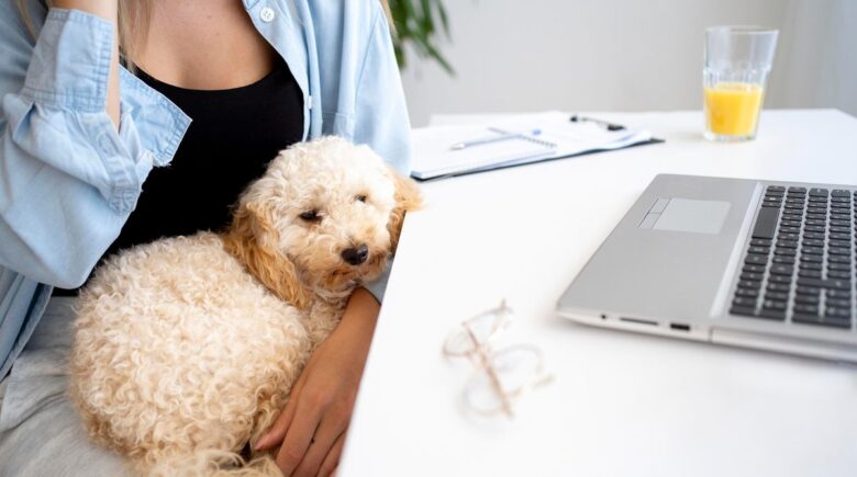Calendar showing pet insurance waiting period timeline from policy purchase to coverage start date