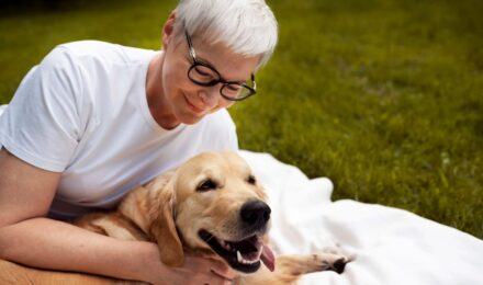 Senior dog at veterinary appointment with owner discussing pet insurance options