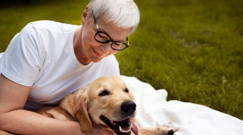 Senior dog at veterinary appointment with owner discussing pet insurance options