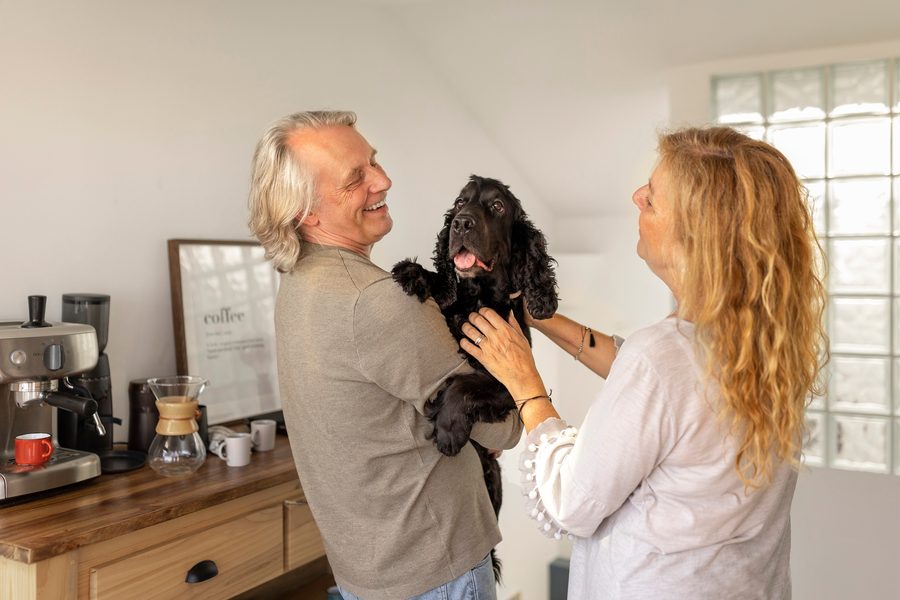 Veterinarian examining a senior dog during a checkup