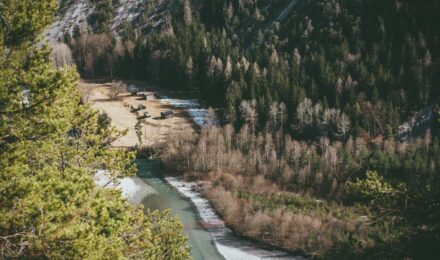 Life insurance and funeral costs in Washington State