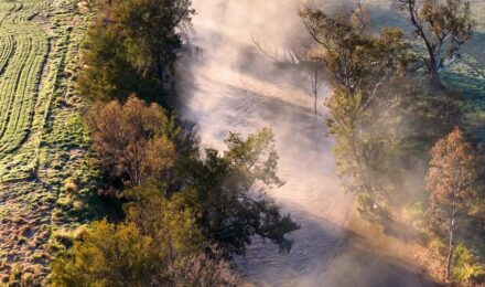 Pro Tips for Reducing Homeowners Insurance Premiums in California After a Wildfire Season