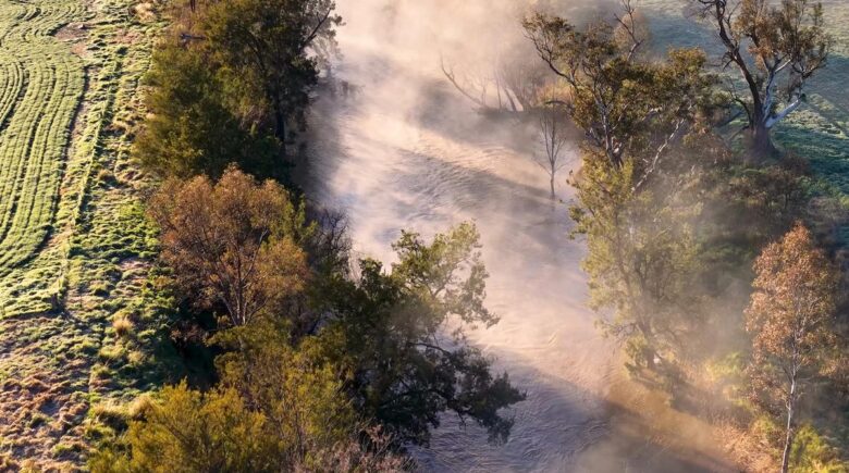 Pro Tips for Reducing Homeowners Insurance Premiums in California After a Wildfire Season